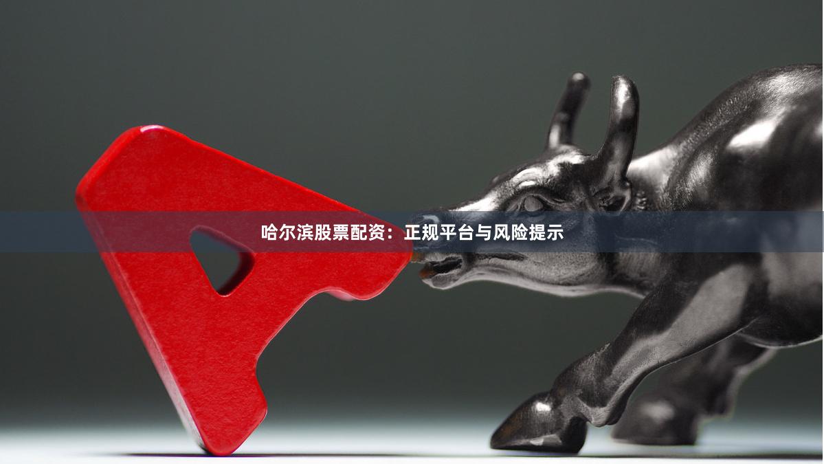 哈尔滨股票配资：正规平台与风险提示