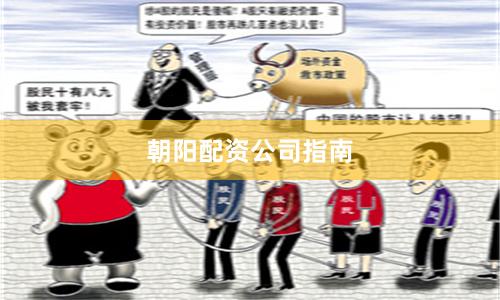 朝阳配资公司指南